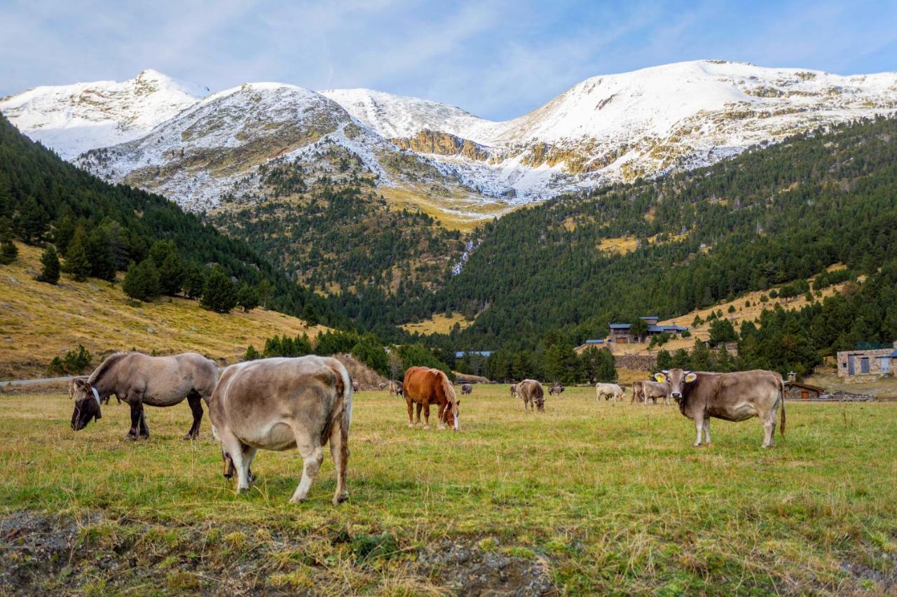 R Valle De Incles-Grandvalira Free Parking Canillo Dış mekan fotoğraf